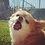 finny